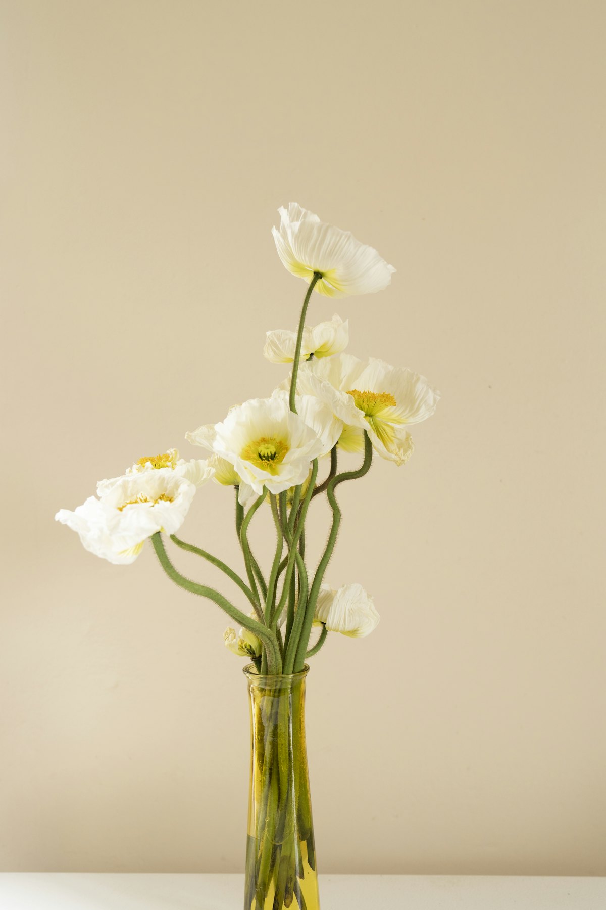 White poppies in an amber glass vase
